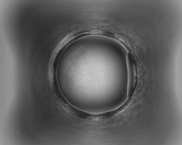 X0000116370295200912021159