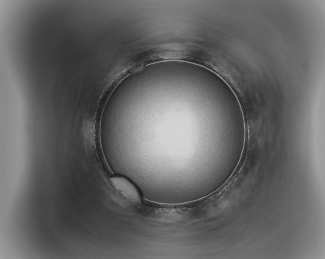 X0000116370297200912021159