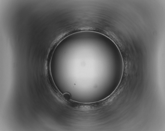 X0000116370298200912021159