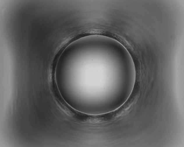 X0000116370299200912021159