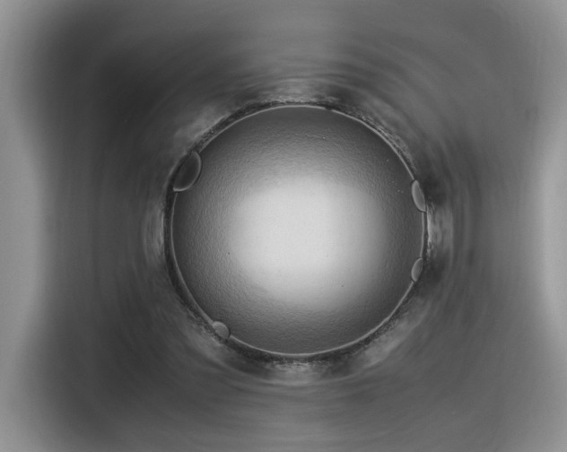X0000116370301200912021159
