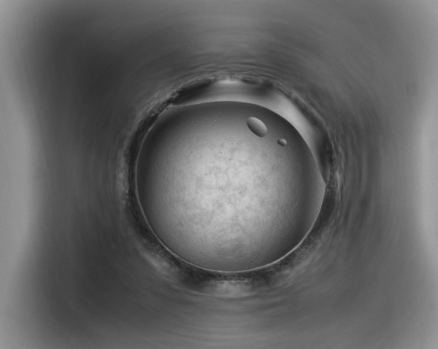 X0000116370303200912021159