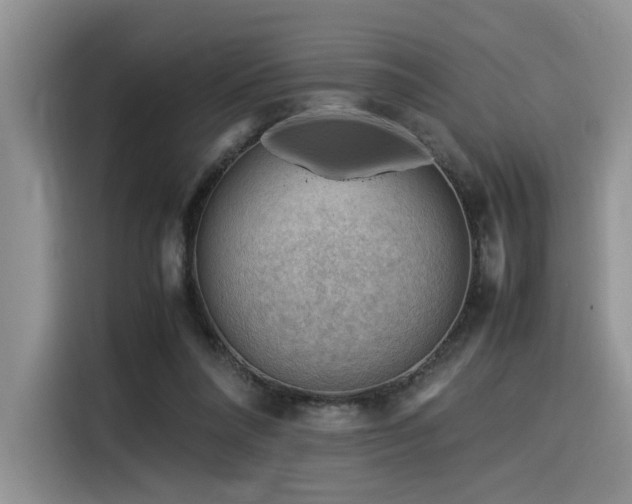 X0000116370304200912021159