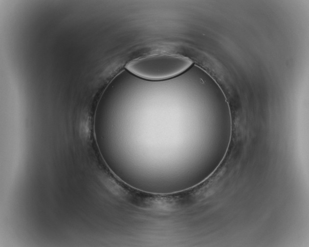 X0000116370305200912021159