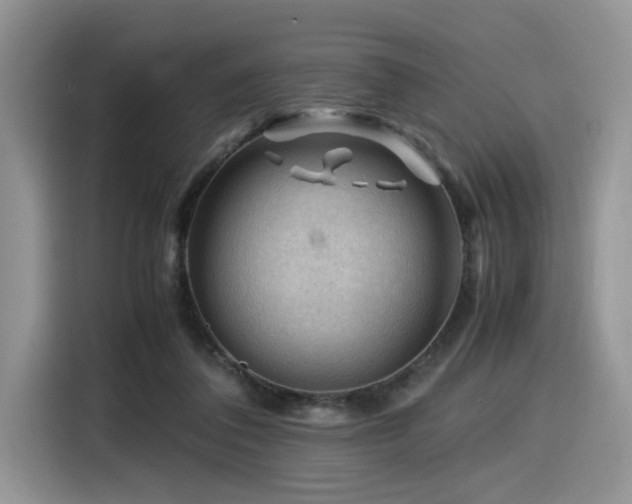X0000116370308200912021159
