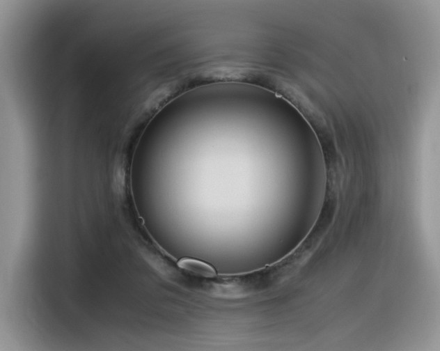X0000116370309200912021159
