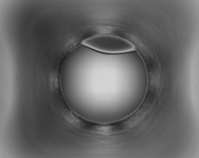X0000116370313200912021159
