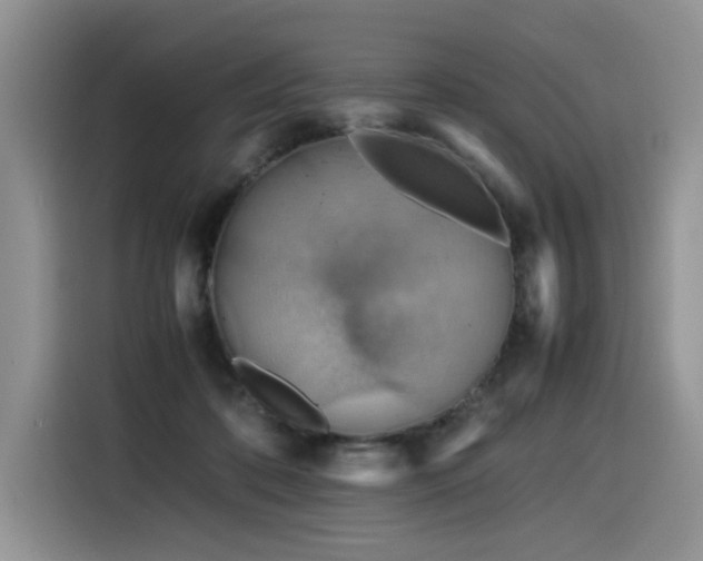 X0000116370316200912021158