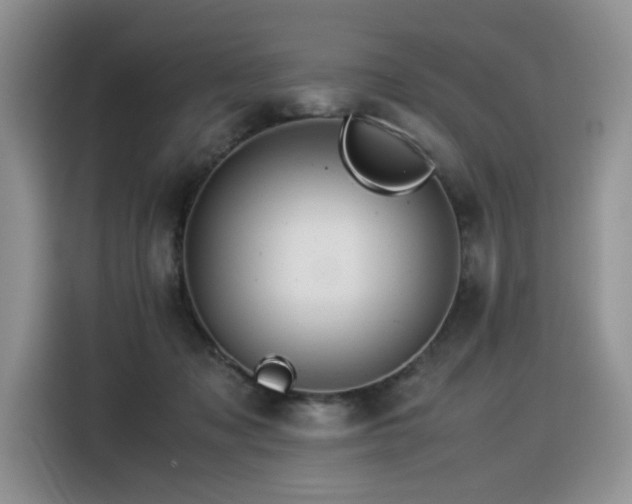 X0000116370317200912021158