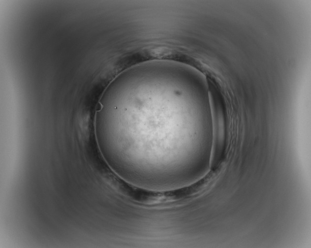 X0000116370319200912021158