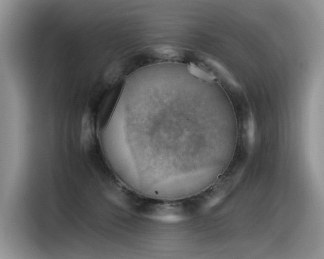 X0000116370320200912021158