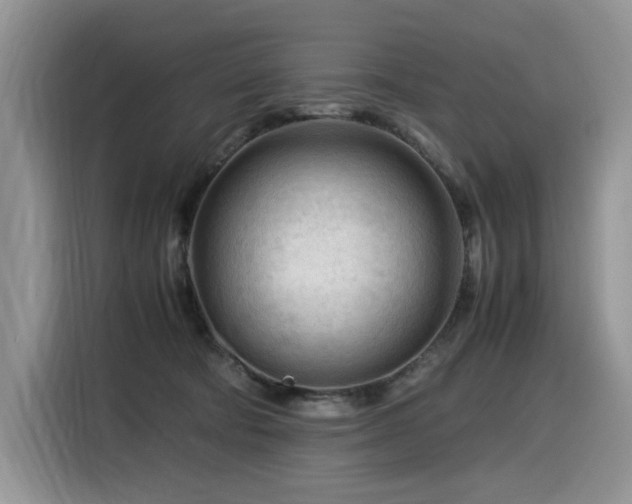 X0000116370322200912021158