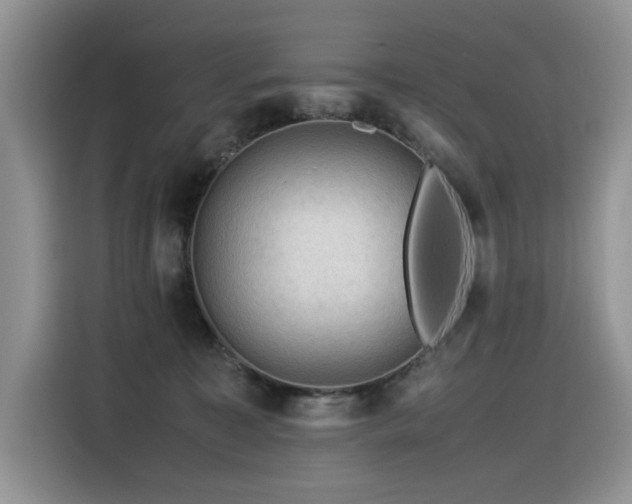 X0000116370323200912021158