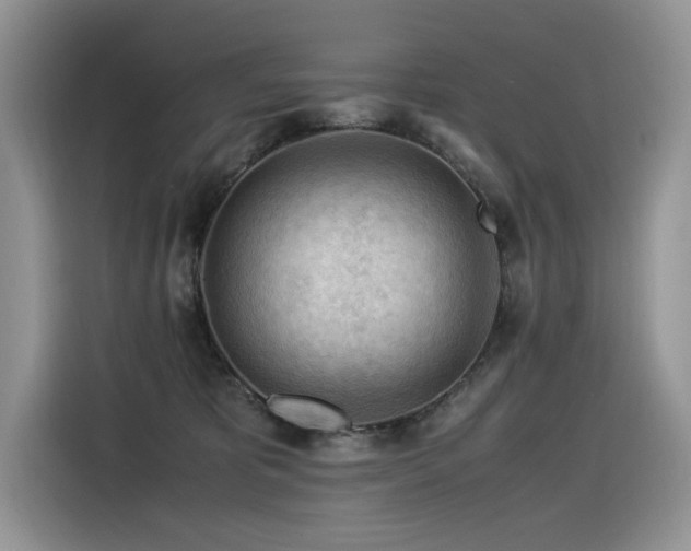 X0000116370325200912021158