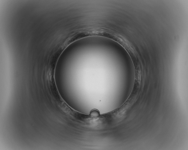 X0000116370326200912021158