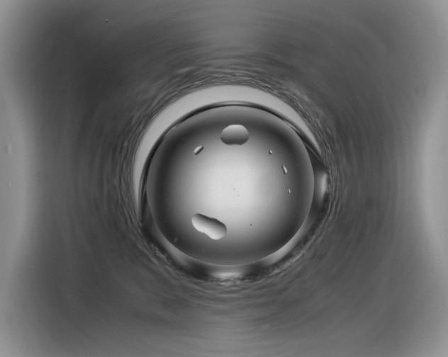 X0000116370327200912021158