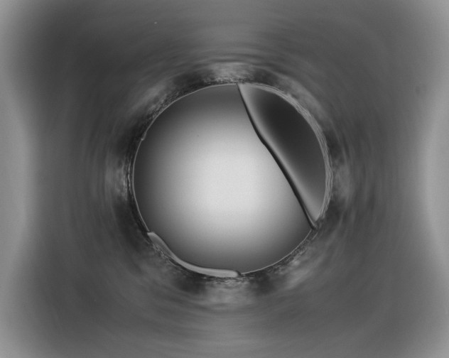 X0000116370329200912021158