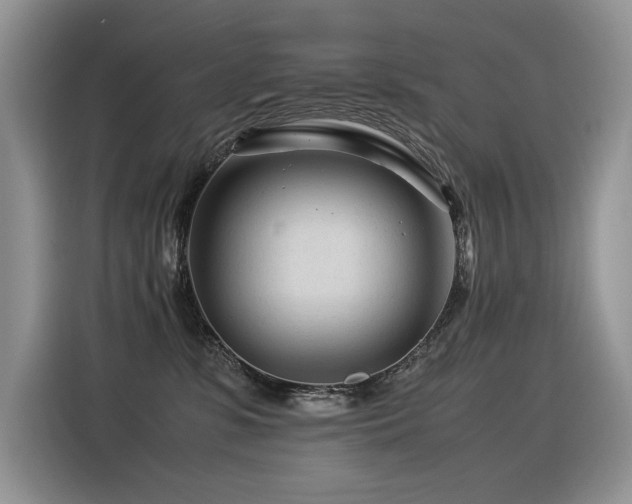 X0000116370331200912021158