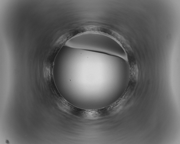 X0000116370333200912021158
