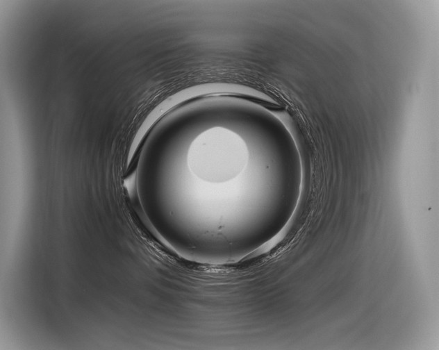 X0000116370336200912021158