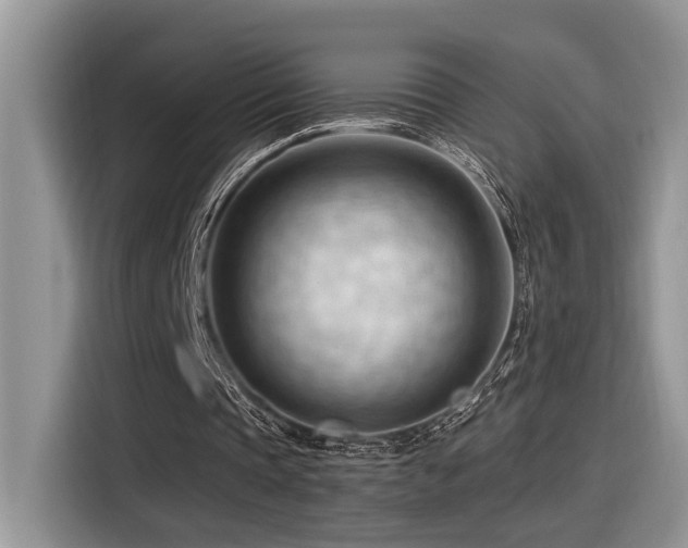 X0000116370337200912021158