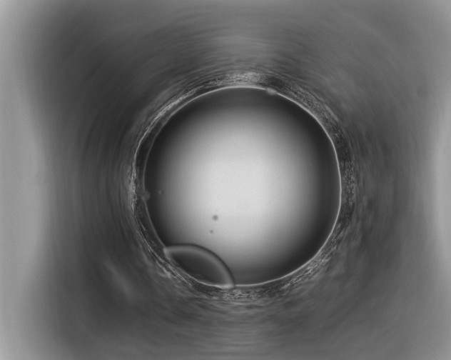 X0000116370338200912021158