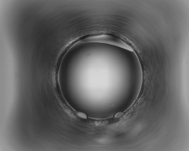 X0000116370345200912021158