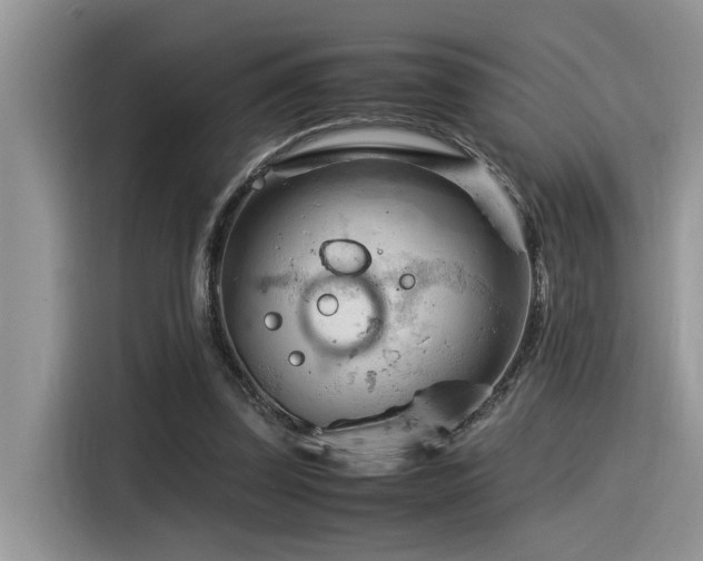 X0000116370347200912021158
