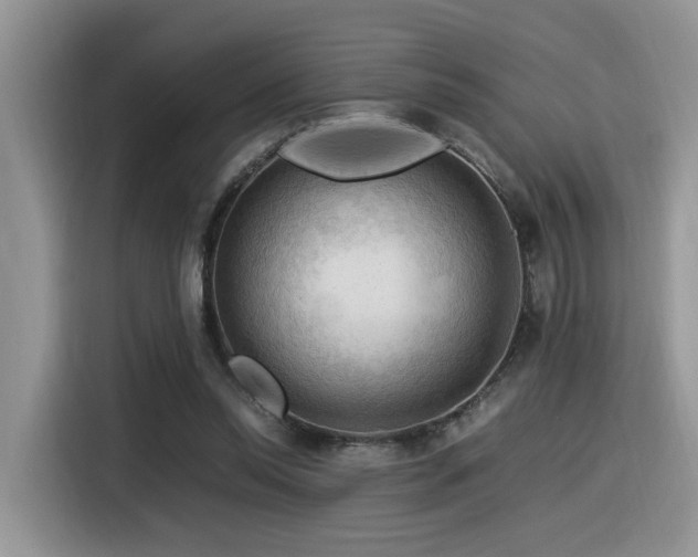 X0000116370350200912021158