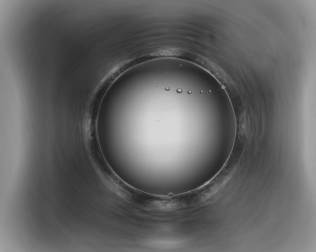 X0000116370351200912021158