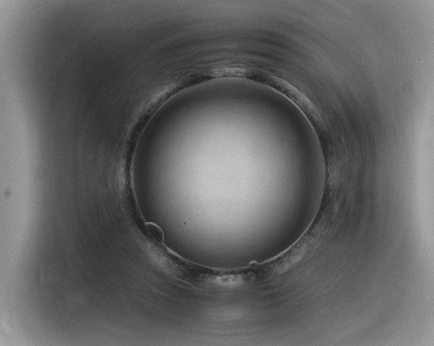 X0000116370353200912021158
