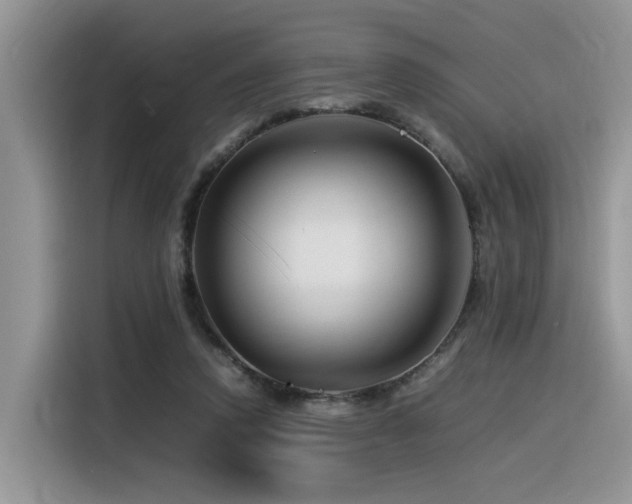X0000116370354200912021158