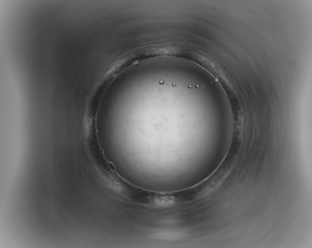 X0000116370355200912021158