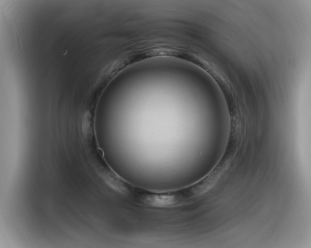 X0000116370361200912021158