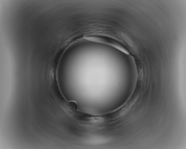 X0000116370363200912021158