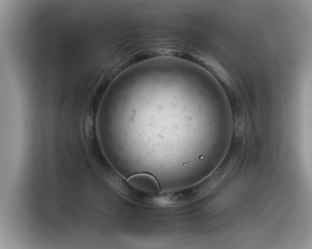 X0000116370365200912021158