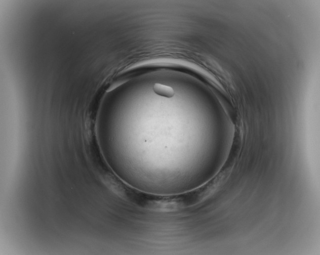 X0000116370366200912021158