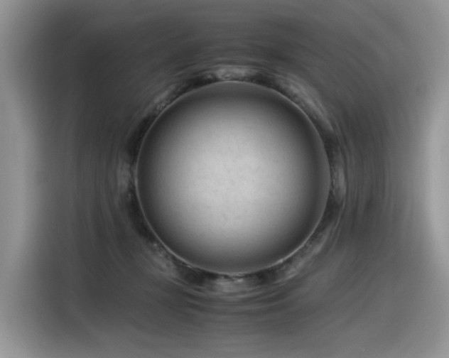 X0000116370367200912021158