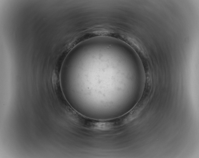 X0000116370371200912021158