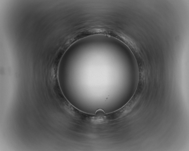X0000116370373200912021158