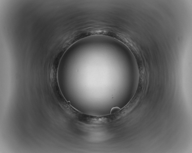 X0000116370375200912021158