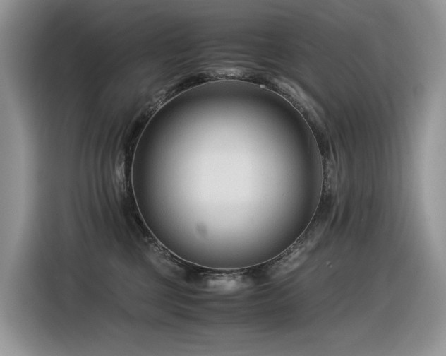 X0000116370377200912021158