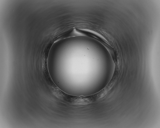 X0000116370379200912021158