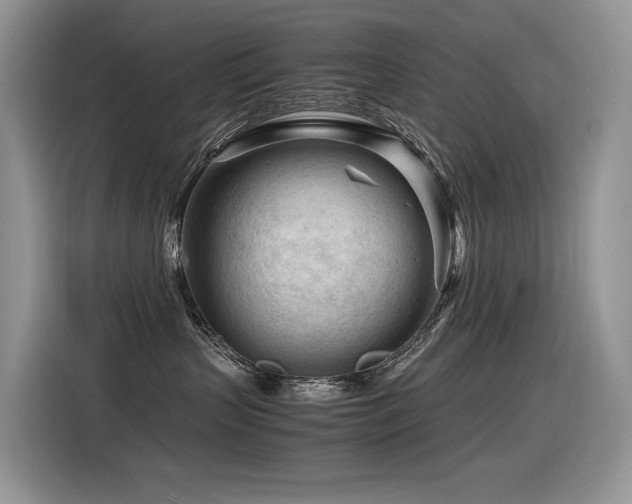X0000116370383200912021158