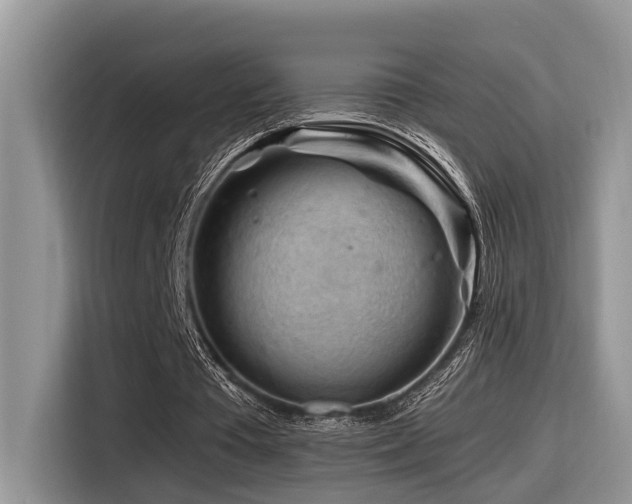 X0000116370385200912021158