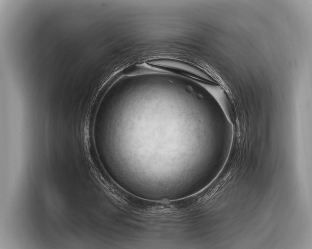 X0000116370386200912021158