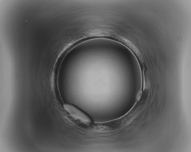 X0000116370387200912021158