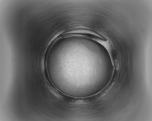 X0000116370390200912021158