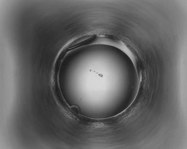 X0000116370392200912021157