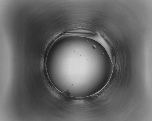 X0000116370394200912021157